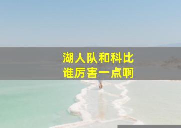 湖人队和科比谁厉害一点啊