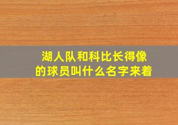 湖人队和科比长得像的球员叫什么名字来着