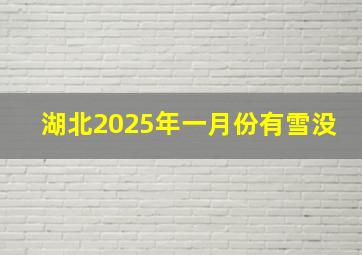 湖北2025年一月份有雪没