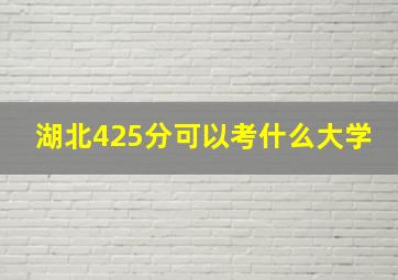 湖北425分可以考什么大学