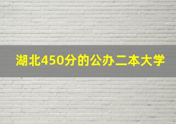 湖北450分的公办二本大学