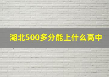 湖北500多分能上什么高中