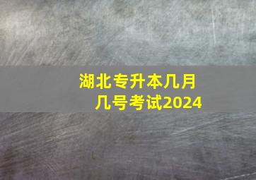 湖北专升本几月几号考试2024