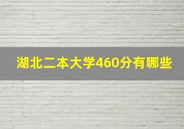 湖北二本大学460分有哪些