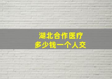 湖北合作医疗多少钱一个人交