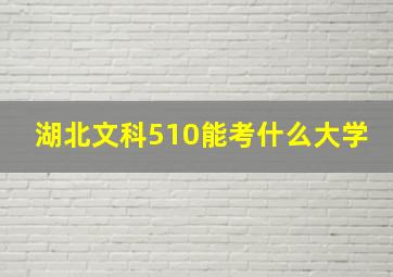 湖北文科510能考什么大学