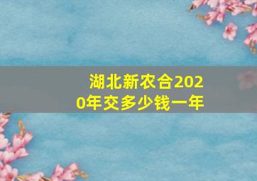 湖北新农合2020年交多少钱一年