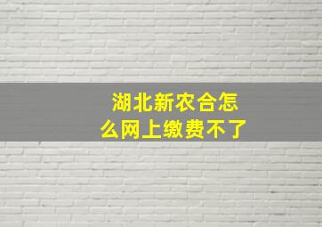 湖北新农合怎么网上缴费不了