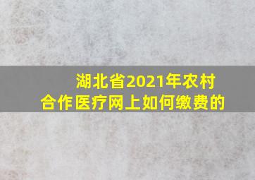 湖北省2021年农村合作医疗网上如何缴费的