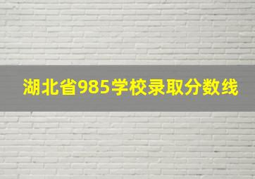 湖北省985学校录取分数线