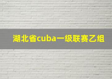 湖北省cuba一级联赛乙组