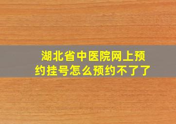 湖北省中医院网上预约挂号怎么预约不了了