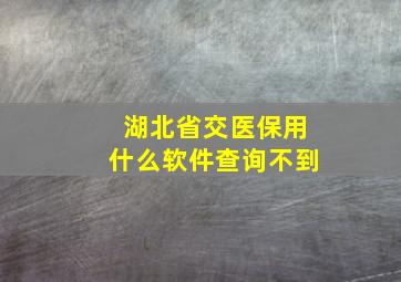 湖北省交医保用什么软件查询不到