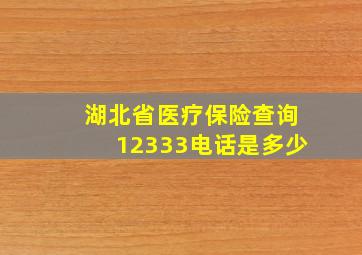 湖北省医疗保险查询12333电话是多少