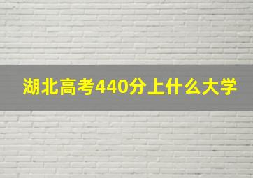 湖北高考440分上什么大学