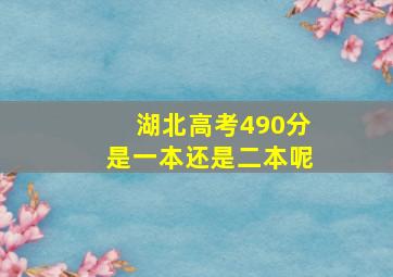 湖北高考490分是一本还是二本呢