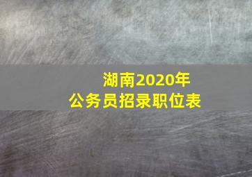 湖南2020年公务员招录职位表