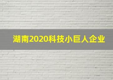 湖南2020科技小巨人企业