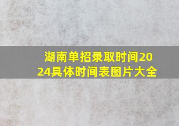 湖南单招录取时间2024具体时间表图片大全