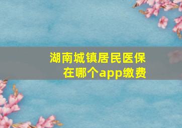 湖南城镇居民医保在哪个app缴费