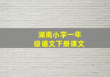 湖南小学一年级语文下册课文