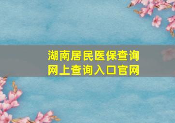 湖南居民医保查询网上查询入口官网