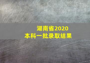 湖南省2020本科一批录取结果