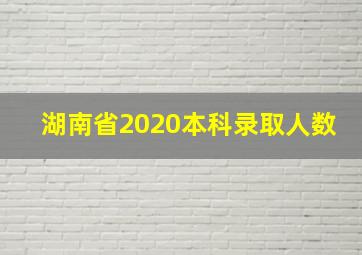 湖南省2020本科录取人数