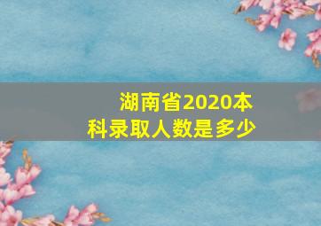 湖南省2020本科录取人数是多少