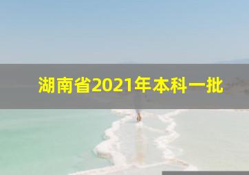 湖南省2021年本科一批