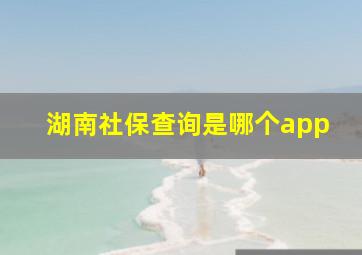 湖南社保查询是哪个app