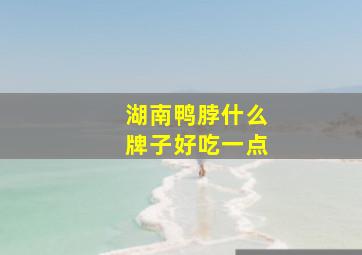 湖南鸭脖什么牌子好吃一点