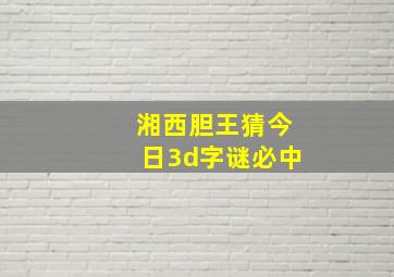 湘西胆王猜今日3d字谜必中