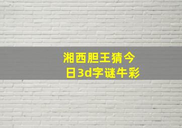 湘西胆王猜今日3d字谜牛彩