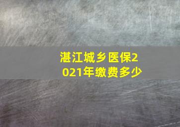 湛江城乡医保2021年缴费多少