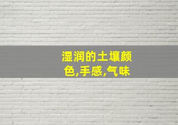 湿润的土壤颜色,手感,气味