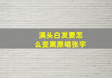 满头白发要怎么变黑原唱张宇