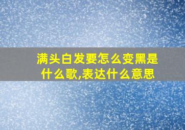 满头白发要怎么变黑是什么歌,表达什么意思