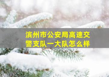 滨州市公安局高速交警支队一大队怎么样