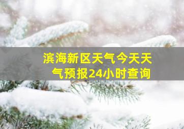 滨海新区天气今天天气预报24小时查询