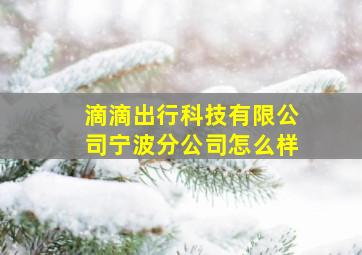 滴滴出行科技有限公司宁波分公司怎么样