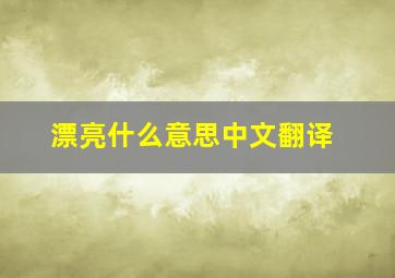 漂亮什么意思中文翻译