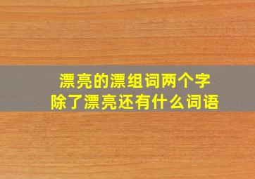 漂亮的漂组词两个字除了漂亮还有什么词语