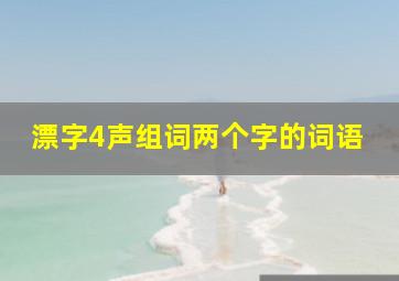 漂字4声组词两个字的词语