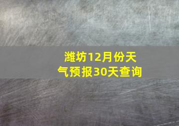 潍坊12月份天气预报30天查询