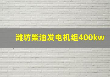 潍坊柴油发电机组400kw