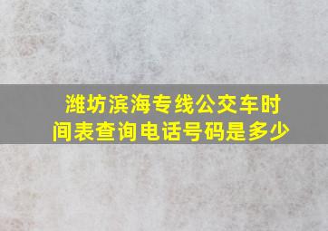 潍坊滨海专线公交车时间表查询电话号码是多少