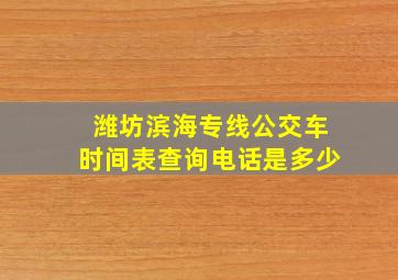 潍坊滨海专线公交车时间表查询电话是多少