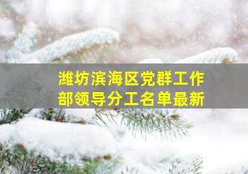 潍坊滨海区党群工作部领导分工名单最新