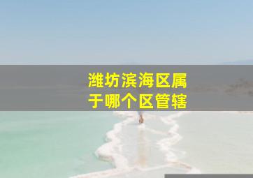 潍坊滨海区属于哪个区管辖